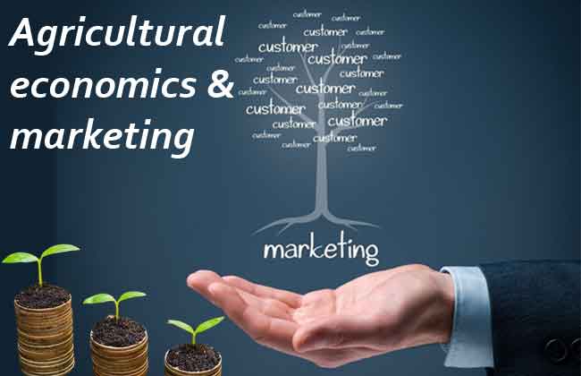 Agricultural economics and marketing