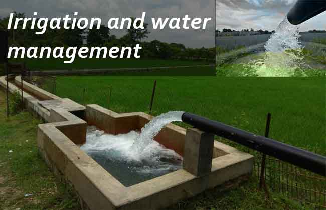 Irrigation and water management
