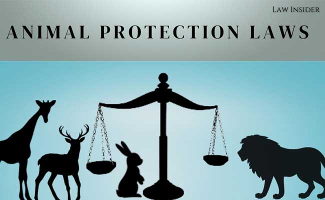 Animale Protectin Law