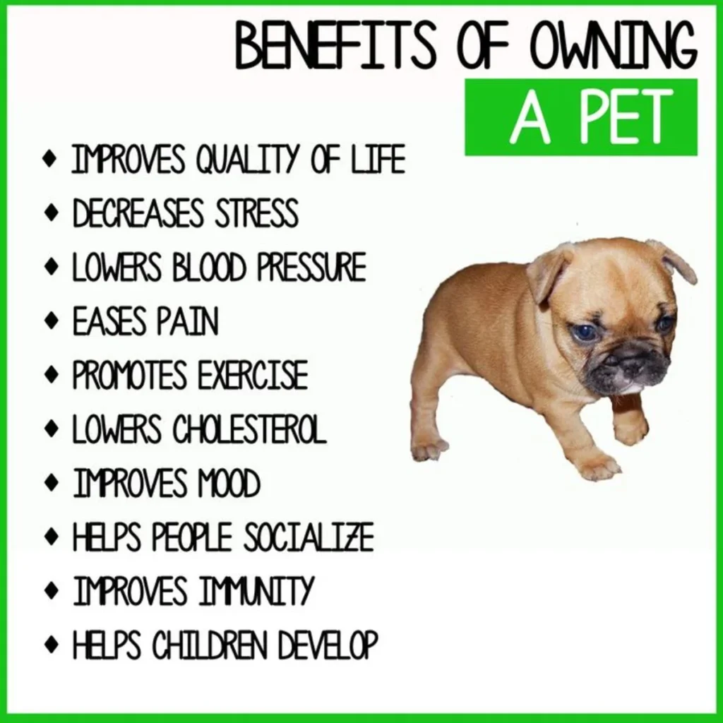 Benefits of Owning a Dog