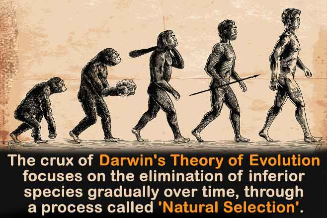 Darwin’s Evolution Theory