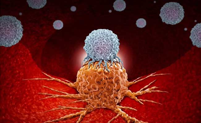 Recent Cancer Treatment Discoveries