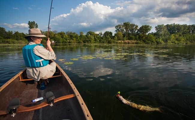 Tips and Tricks for Successful Fishing and Hunting