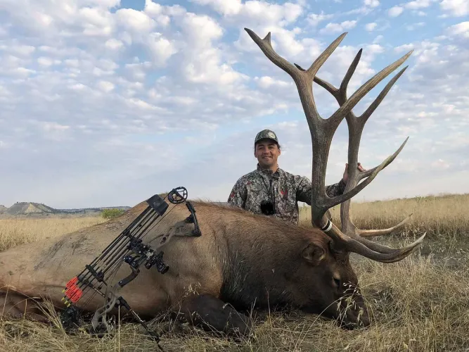Elk Hunting Tips and Strategies