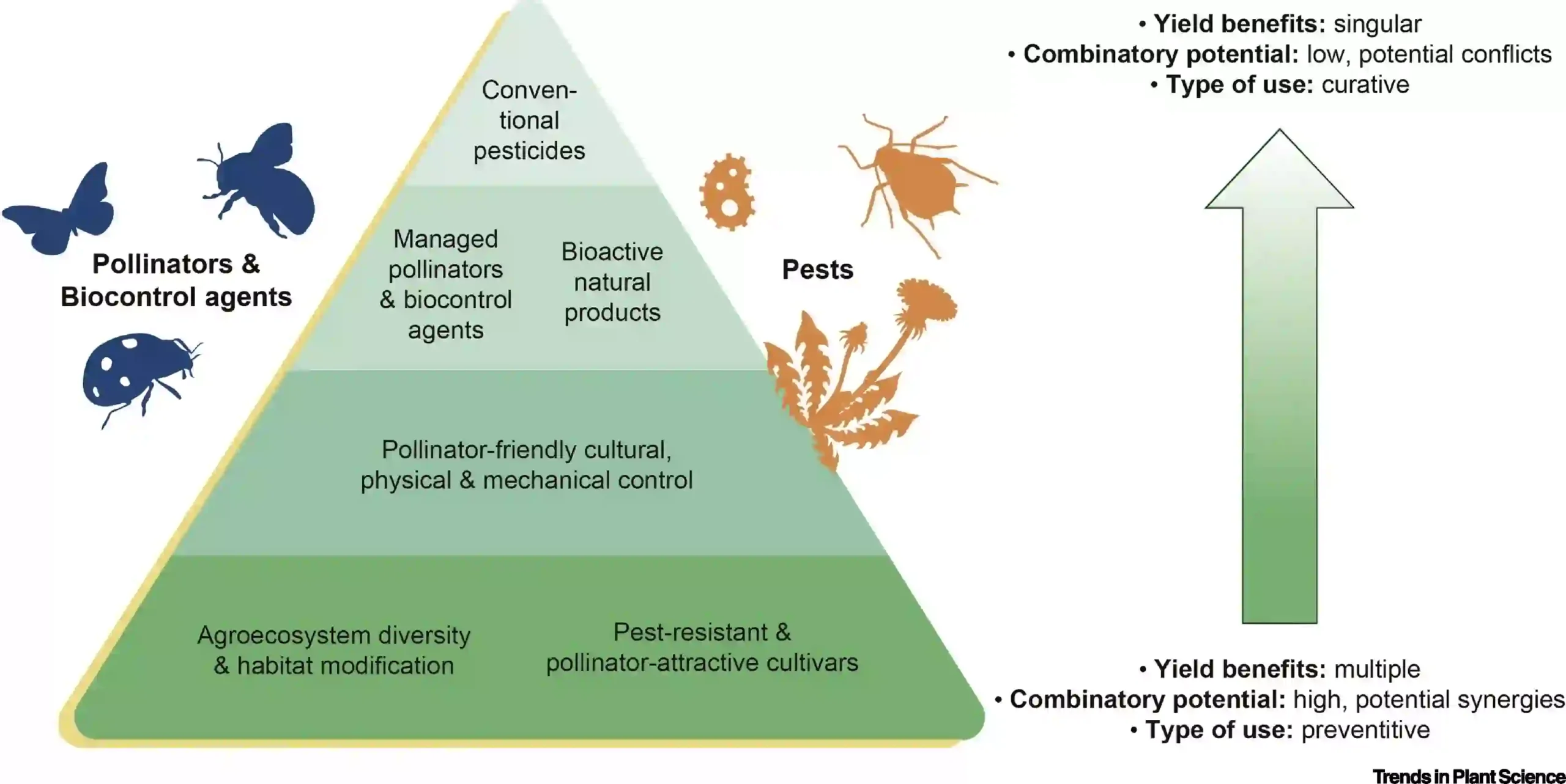 The Effects of Pesticides on Pollinators and Ecological Balance
