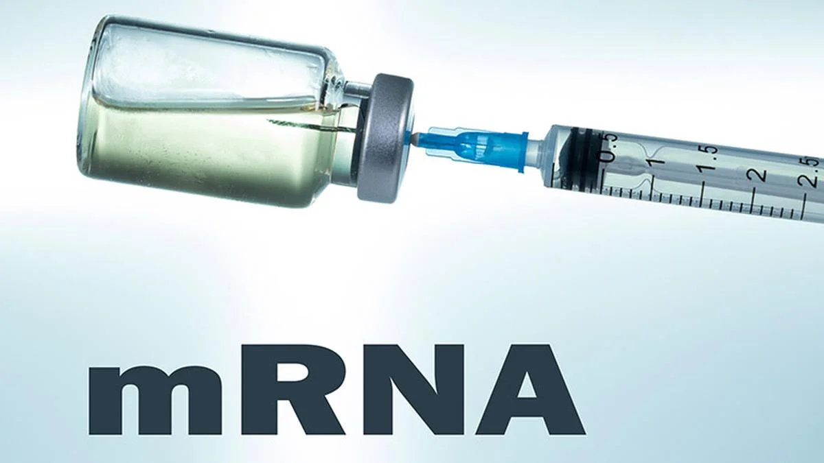 Experimental mRNA Cancer Vaccine Shows Potential for Advanced Stage Cancer Patients in Phase 1 Trial