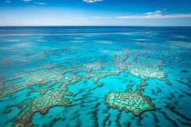 The Great Barrier Reef