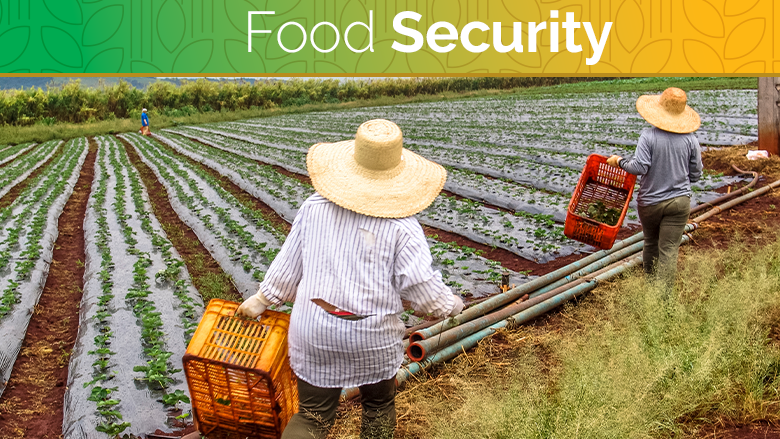 The Role of Agriculture in Global Food Security