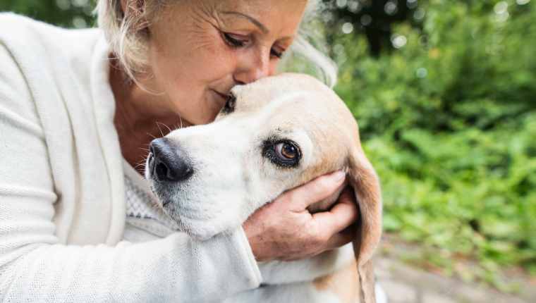 Top 10 Health Benefits of Having a Pet