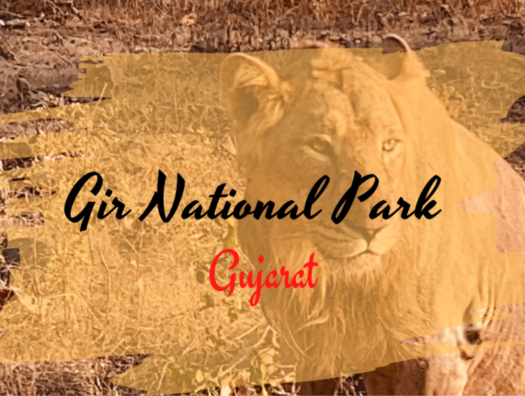 Gir National Park