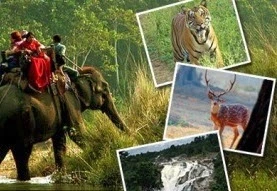 Periyar Wildlife Sanctuary