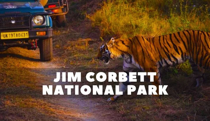 The Wonders of Jim Corbett National Park