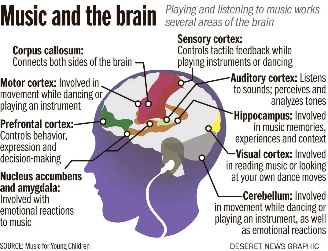 The Science of Sound: How Music Impacts Our Brain