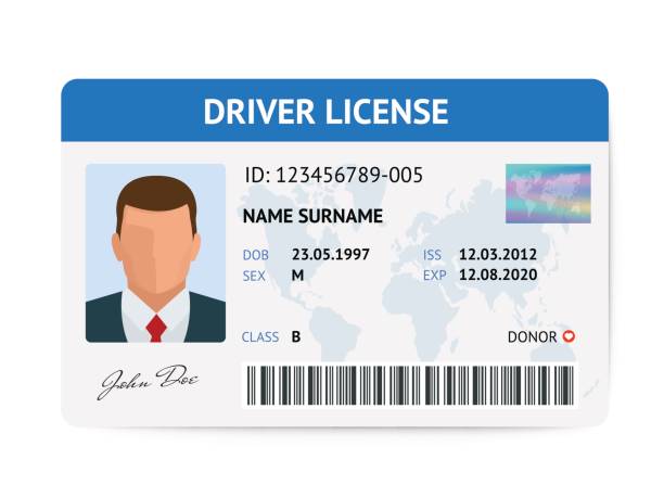 driver's license