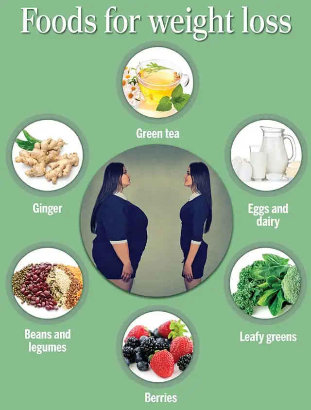 Best Foods for Weight Loss