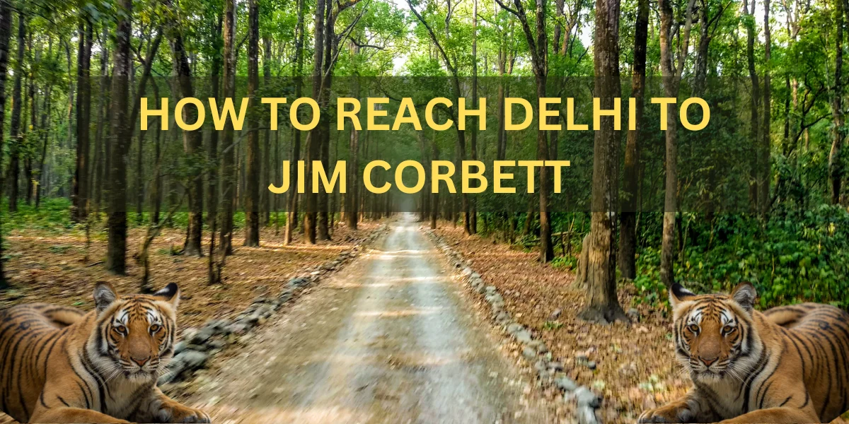 Weekend Getaways from Delhi to Jim Corbett