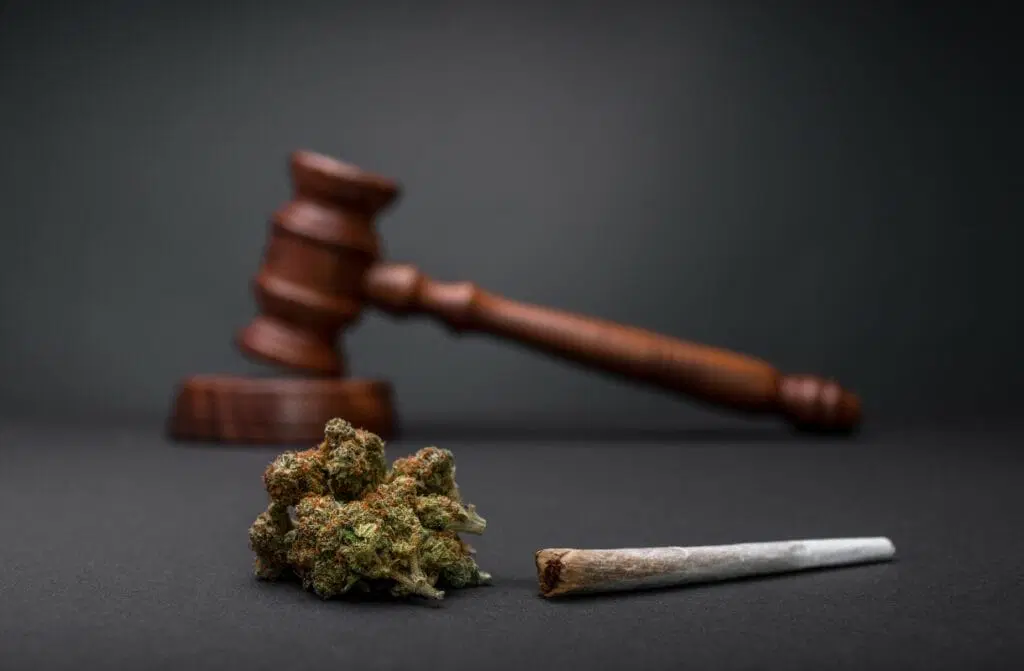 Is Marijuana Canabies Ban in India