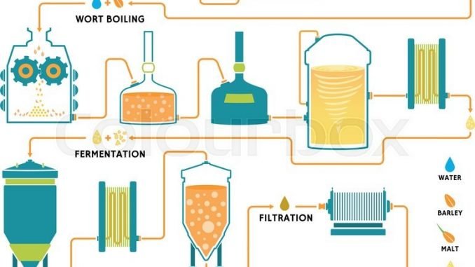 Making Process of Beer