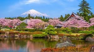 Japan Cherry Blossom Forecast