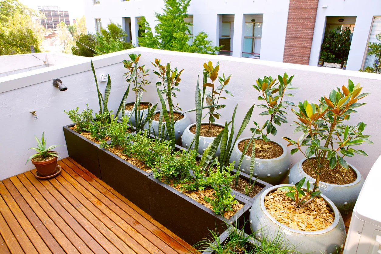 Rooftop Gardening Ideas