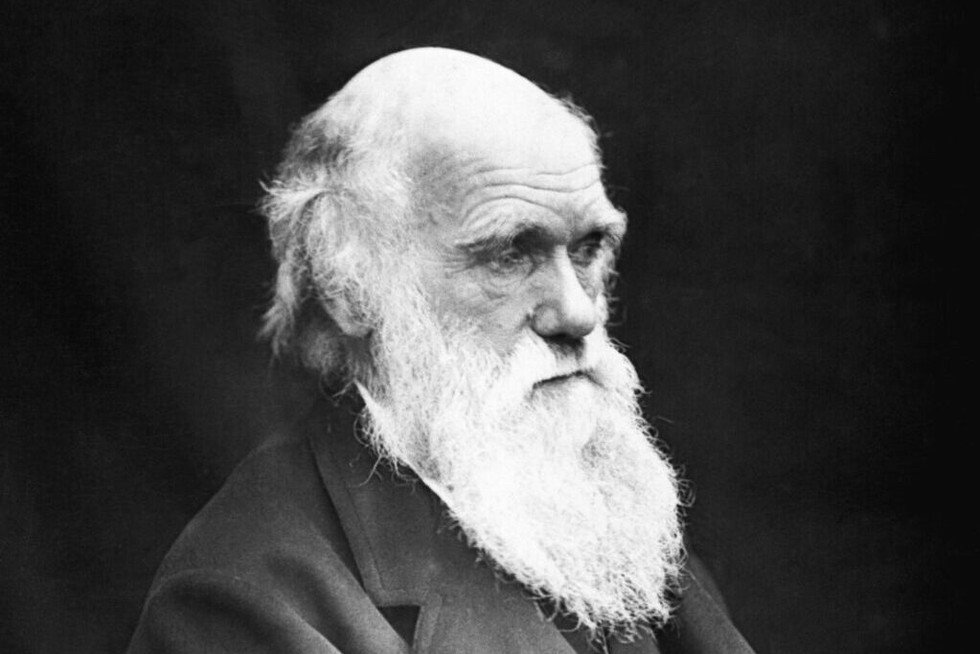 Survival of the Fittest Theory by Charles Darwin