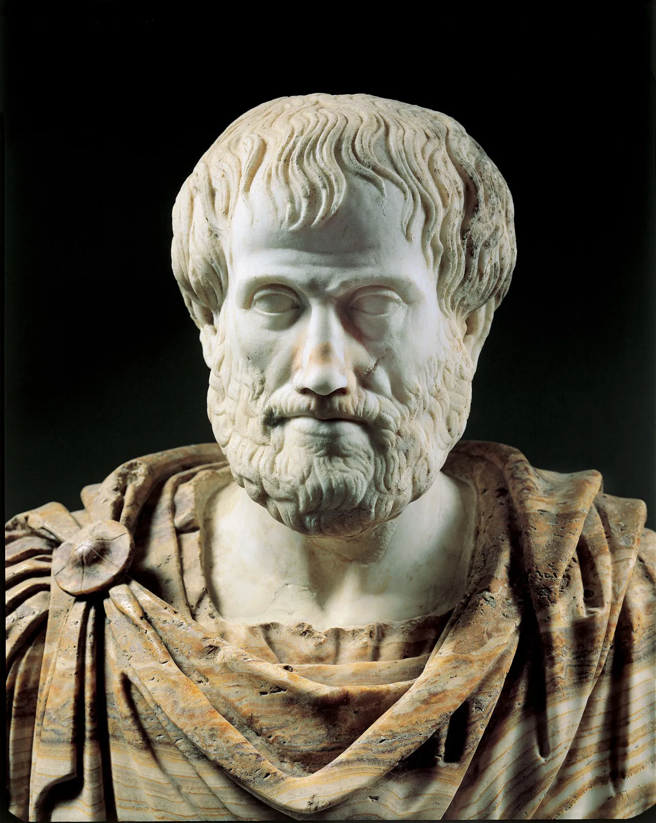 Aristotle: The Greek Philosopher and Polymath