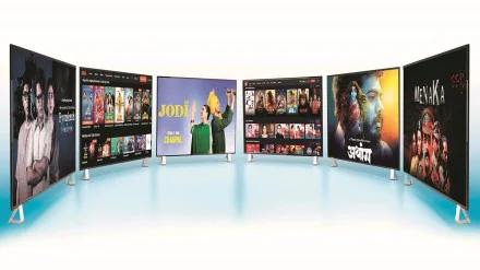 Desi OTT Series and Regional Cinema